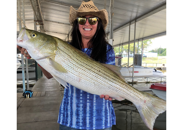 Striper Express-Topwater Striper Fishing