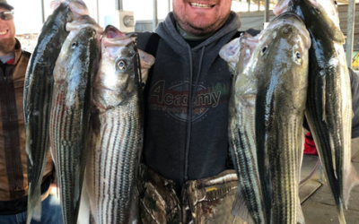 Winter Striper Fishing Lake Texoma