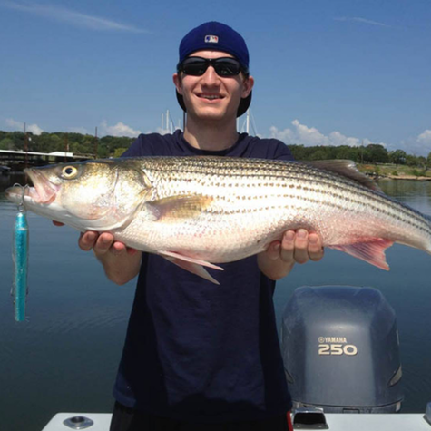 Topwater Plug Fishing-Striper Express