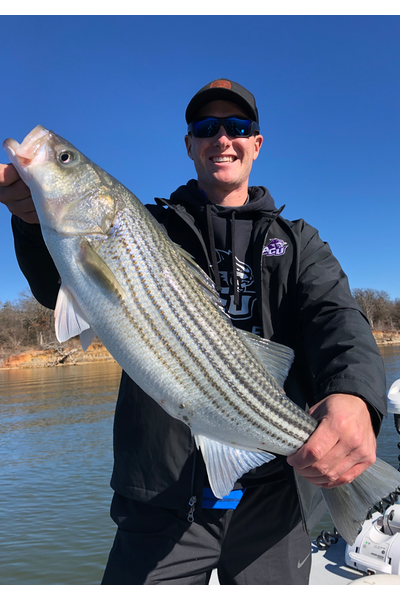 Lake Texoma Fishing Guides-Winter Striper Fishing