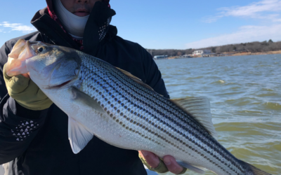 Lake Texoma Fishing Guides-Winter Journal