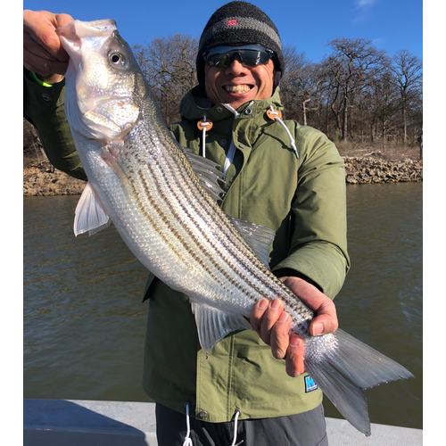 Lake Texoma Striper Fishing in the Winter Weather