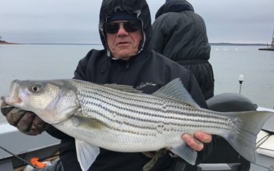 Lake Texoma Striper Fishing Guide-Winter Journal
