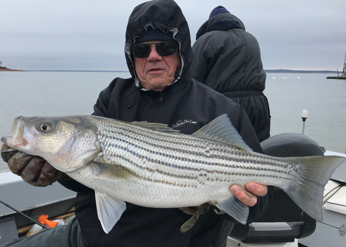 Lake Texoma Striper Fishing Guide-Winter Journal