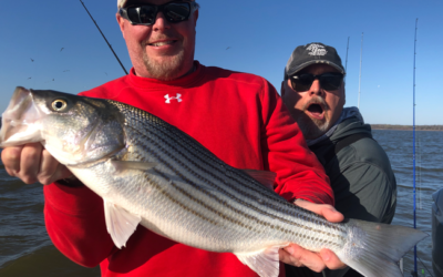 Lake Texoma Fishing Guide-Late Winter Journal
