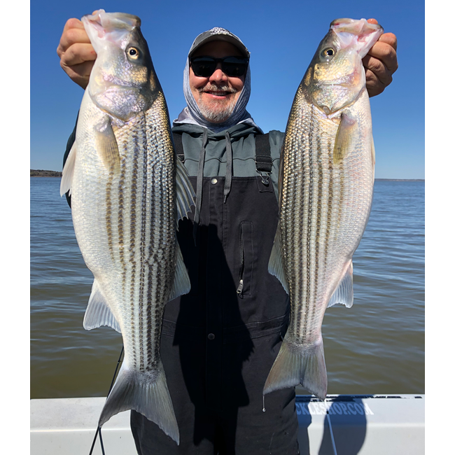 Lake Texoma Fishing Guide-Late Winter Journal