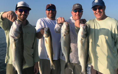 Lake Texoma Striper Fishing Tips-September Topwater