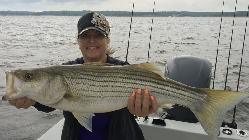 Lake Texoma Striper Fishing Tips-September Topwater