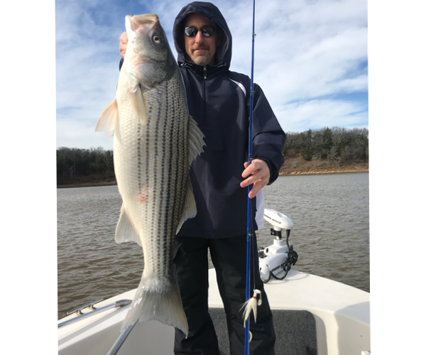 Winter Striper Fishing Season on Lake Texoma