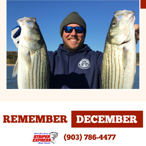 Best time to Striper Fish Lake Texoma